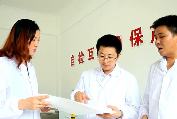技術(shù)團(tuán)隊(duì)正在討論